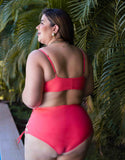 Tanga Thassia - Shell